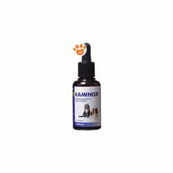 KAMINOX® è un supplemento nutrizionale liquido ad alta appetibilità, per il supporto della funzionalità renale e di altri dis ...