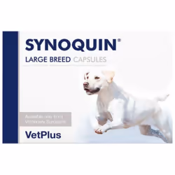 Supplemento nutrizionale per i cani benefici per la salute articolare. L'EFA Sinoquina è una formula unica che contiene cinqu ...