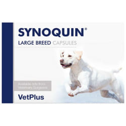 Sinoquin grandi razze 120 capsule