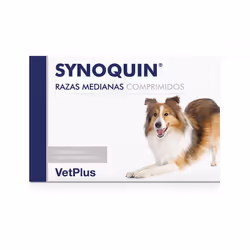 Supplemento nutrizionale per i cani benefici per la salute articolare. L'EFA Sinoquina è una formula unica che contiene cinqu ...