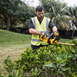 DeWALT DCM563P1-QW tosasiepe Lama singola 3,4 kg - Vista aggiuntiva 7
