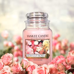 Yankee Candle 1038367E candela di cera Rotondo Rosa 1 pz