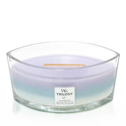 WoodWick 76965 candela di cera Altro Eucalipto, Lavanda Blu, Viola, Bianco 1 pz