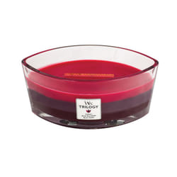 WoodWick Sun Ripened Berries candela di cera Ellisse Ribes rosso, Mora, Spice Rosso 1 pz