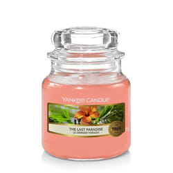 Yankee Candle The Last Paradise candela di cera Rotondo Arancione 1 pz