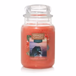 Yankee Candle Cliffside Sunrise, Cilindro, Rosa, Champagne, Agrume, Ibisco, Fragola, 150 h, 1 pz
