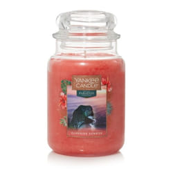 Yankee Candle Cliffside Sunrise candela di cera Cilindro Champagne, Agrume, Ibisco, Fragola Rosa 1 pz
