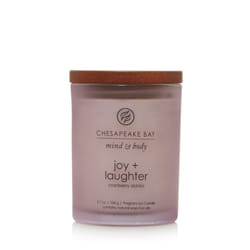 Chesapeake Bay Joy & Laughter candela di cera Cilindro Viola 1 pz
