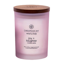 Chesapeake Bay Joy & Laughter candela di cera Cilindro Viola 1 pz