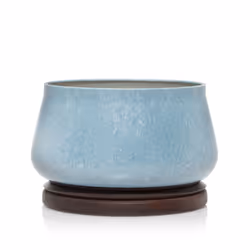 Yankee Candle Sparkling Lemongrass candela di cera Rotondo Blu 1 pz