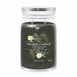 Yankee Candle Silver Sage & Pine, Cilindro, Verde, Legnoso, 90 h, 1 pz