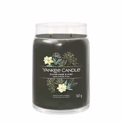 Yankee Candle Silver Sage & Pine candela di cera Cilindro Legnoso Verde 1 pz