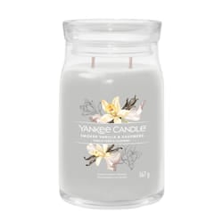 Yankee Candle Smoked Vanilla & Cashmere candela di cera Cilindro Lana Cashmere, Vaniglia Grigio 1 pz