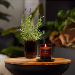 WoodWick Lavender & Cypress candela di cera Cilindro Cypress, Lavanda Marrone 1 pz - Vista aggiuntiva 3