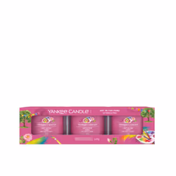 Yankee Candle Art In The Park, Cilindro, Rosa, Mela, Floreale, 10 h, 3 pz