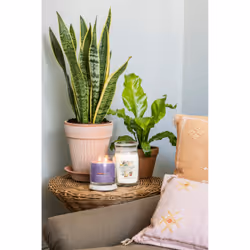Yankee Candle Sweet Vanilla Horchata candela di cera Cilindro Neutrale 1 pz