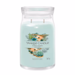 Yankee Candle Aloe & Agave, Cilindro, Blu, Aloe, 90 h, 1 pz