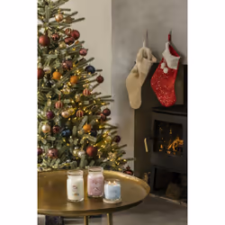Yankee Candle Parisian Holiday Brunch candela di cera Cilindro Arancione Rosa 1 pz