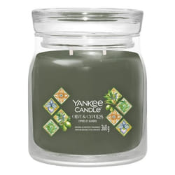 Yankee Candle 2642887E candela di cera Rotondo Cypress, Oliva Verde, Trasparente 1 pz