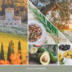 Yankee Candle 2642887E candela di cera Rotondo Cypress, Oliva Verde, Trasparente 1 pz