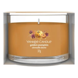Yankee Candle 2653165E candela di cera Rotondo Zucca Arancione, Trasparente 1 pz