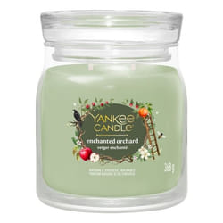 Yankee Candle 2653151E candela di cera Rotondo Dolce Verde, Trasparente 1 pz