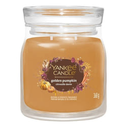Yankee Candle 2653161E candela di cera Rotondo Zucca Arancione, Trasparente 1 pz