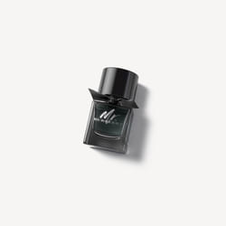 Burberry Mr. Eau de Parfum 50ml