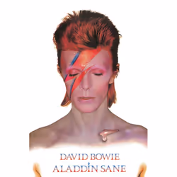 Pyramid International PP31521, 1 pz, David Bowie, Rettangolo