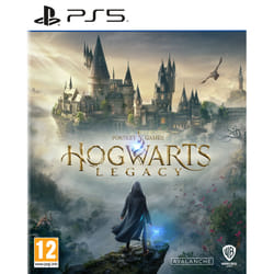 Warner Bros. Games Hogwarts Legacy