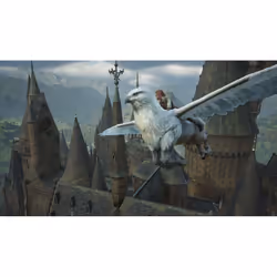 Warner Bros. Games Hogwarts Legacy Nintendo Switch 2 Standard Cinese semplificato, Cinese tradizionale, Tedesca, Inglese, Francese, ITA, Giapponese, Coreano, Portoghese, Russo