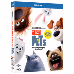 Universal Pictures Pets - Vita da animali, Film animato/cartone animato, DVD, Inglese, ITA, 2D, 87 min, 01/02/2017
