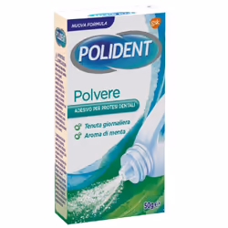 Polident Polvere Adesiva per Dentiera Gusto Menta 50gr