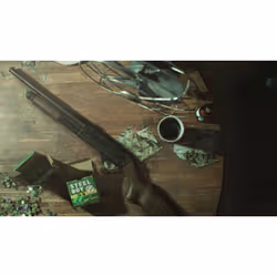 Capcom Resident Evil 7 biohazard - PLAYSTATION HITS - Vista aggiuntiva 2