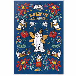 Lily's Kitchen Advent Calendar Cats, Premio, Gatto, Adulto, Pollo, Salmone, 42 g