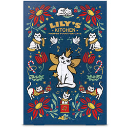 Lily's Kitchen Advent Calendar Cats Gatto Premio Pollo, Salmone 42 g
