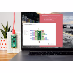 Raspberry Pi SC0918 non classificato - Vista aggiuntiva 2