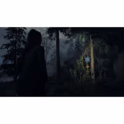 Epic Games Alan Wake 2 Deluxe Edition Tedesca, Inglese, ESP, Francese, Giapponese PlayStation 5 - Vista aggiuntiva 7