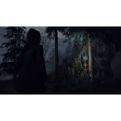 Epic Games Alan Wake II Deluxe Xbox Series X - Vista aggiuntiva 6