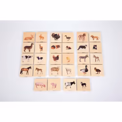 Tickit Domestic Animal Family Match, 3 anno/i, Tiglio americano, Multicolore, Legno