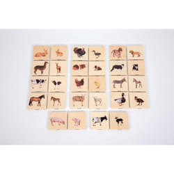 Tickit Domestic Animal Family Match