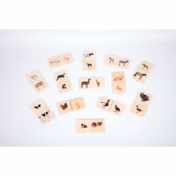 Tickit Domestic Animal Family Match - Vista aggiuntiva 8