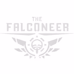 Wired Productions The Falconeer - Warrior Edition, PlayStation 4, T (Teen)