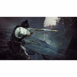 Koei Tecmo Games Wo Long: Fallen Dynasty Standard PlayStation 5