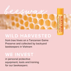 Burt's Bees Balsamo labbra al miele con cera d'api 1 St
