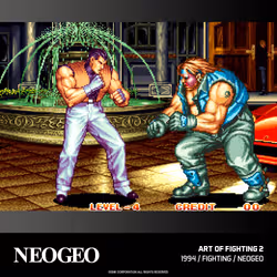 Blaze Entertainment Evercade - NEOGEO Arcade 2 - Vista aggiuntiva 2