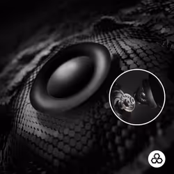 Logitech G PRO X 2 Auricolare Con cavo e senza cavo A Padiglione Gaming Bluetooth Nero - Vista aggiuntiva 4