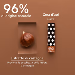 APIVITA Balsamo Labbra con Castagna 4,4 g Protezione per le labbra