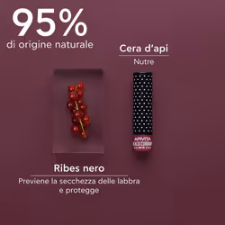 APIVITA LIP Care Balsamo Labbra con Ribes Nero 4,4 g Protezione per le labbra
