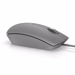 DELL MS116 mouse Ambidestro USB tipo A Ottico 1000 DPI